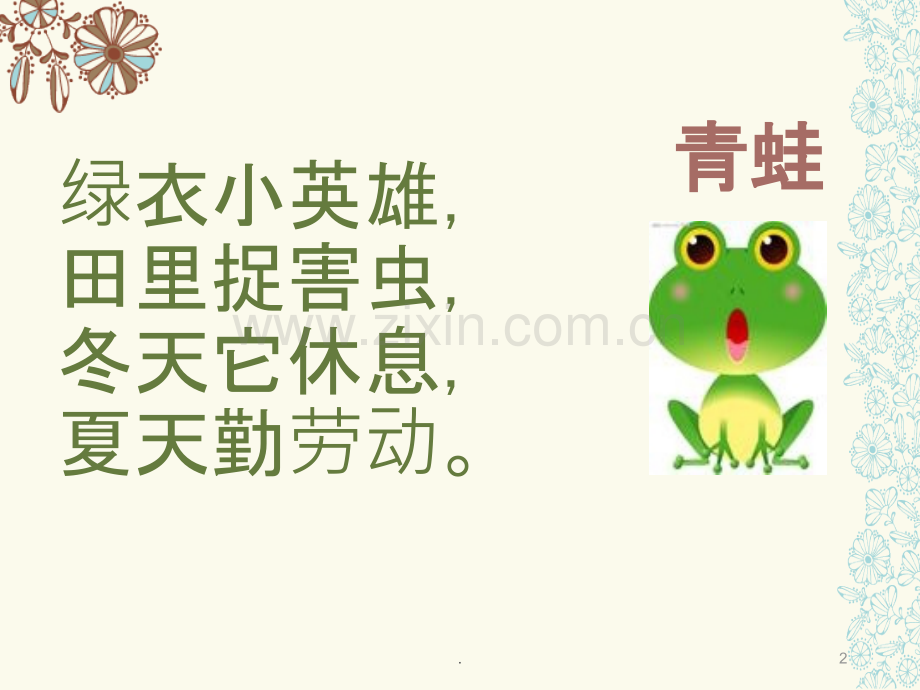 《小青蛙》PPT课件.ppt_第2页