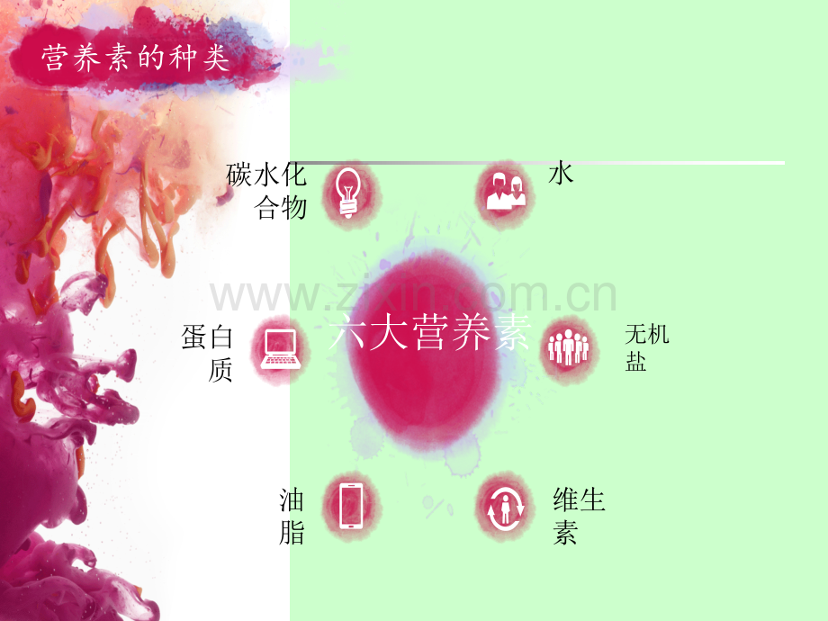 常见的营养素.ppt_第2页