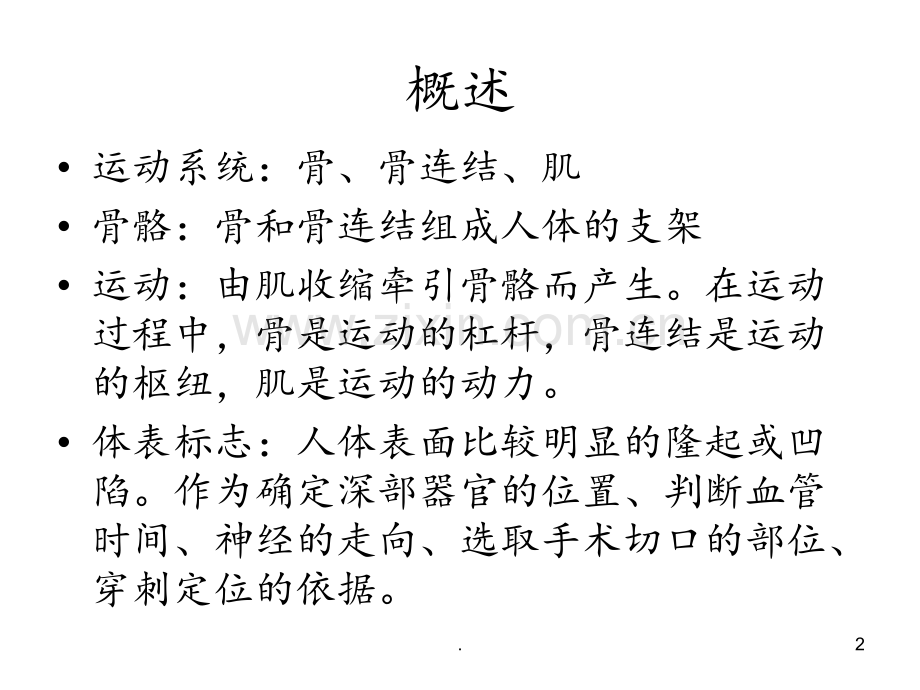 《人体解剖学》第二章运动系统解读PPT课件.ppt_第2页
