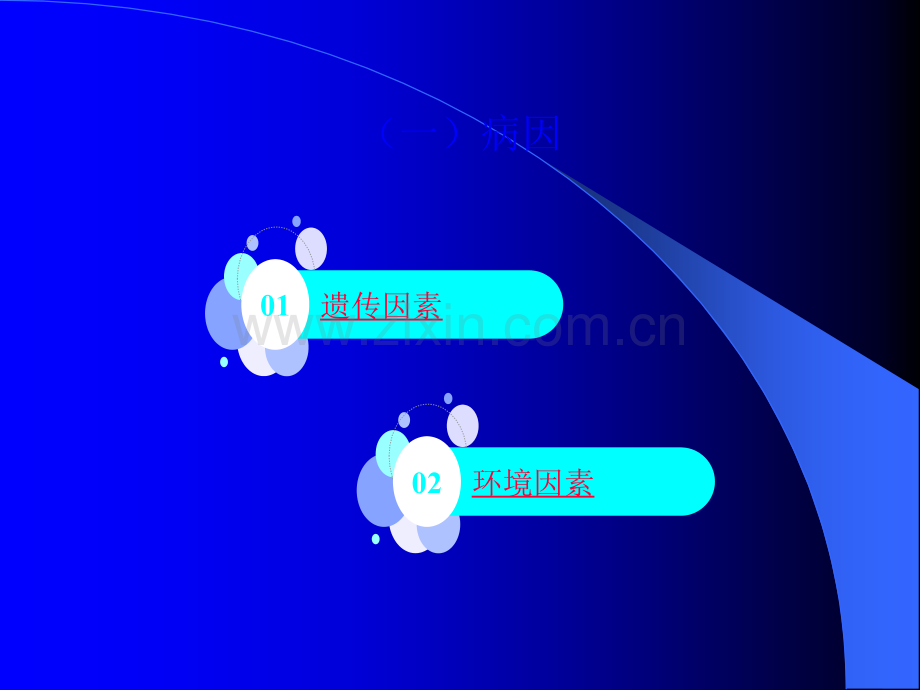 口腔正畸学ppt课件.pptx_第2页