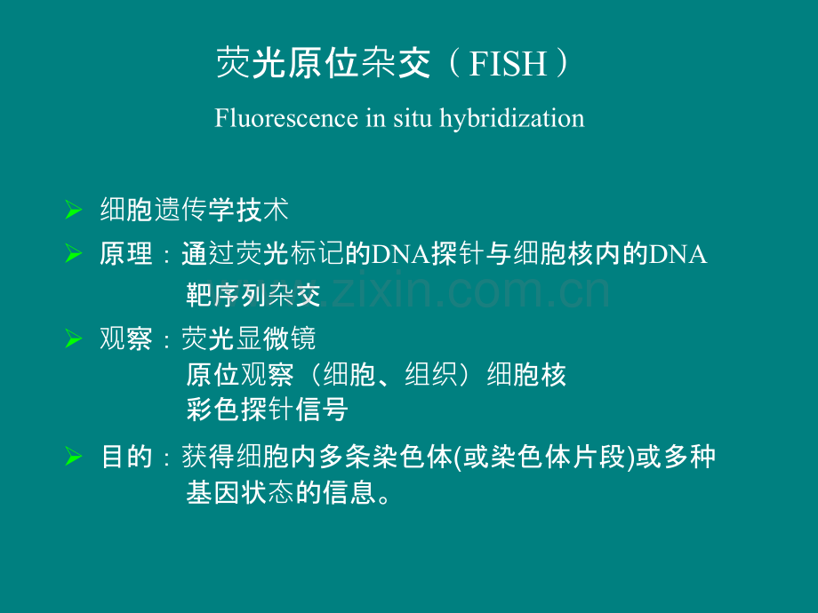 FISH技术在乳腺癌检测中的应用.ppt_第2页