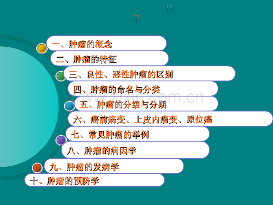 第13章--肿瘤ppt课件.ppt_第2页