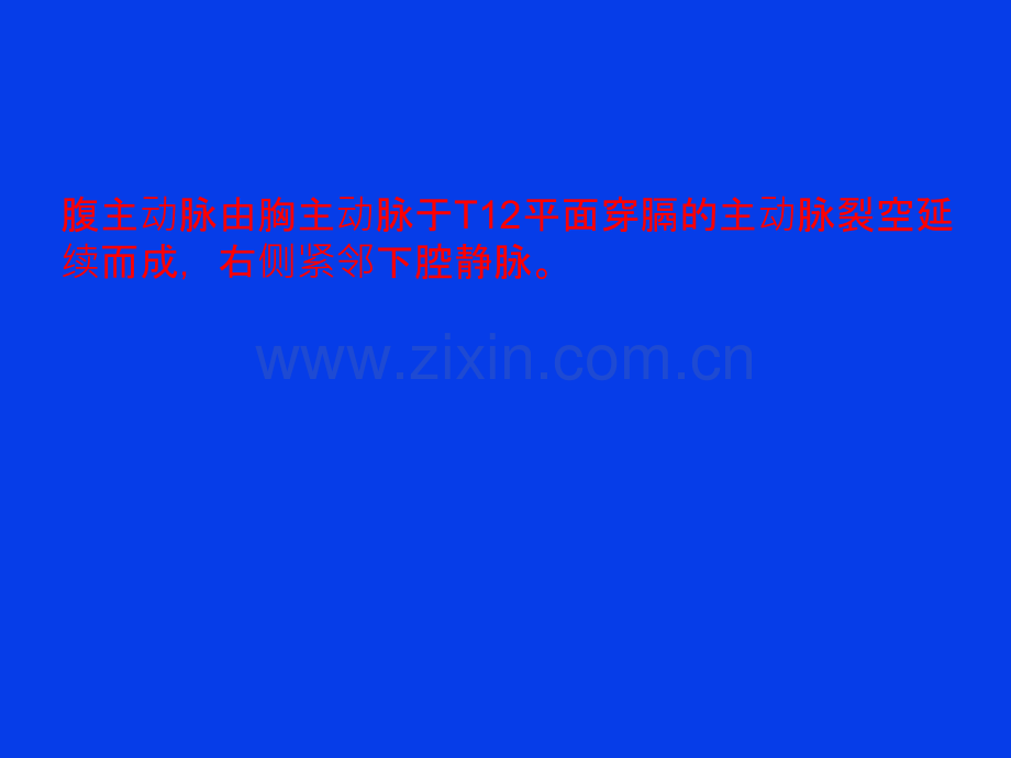 腹部及下肢血管解剖(动脉).ppt_第2页