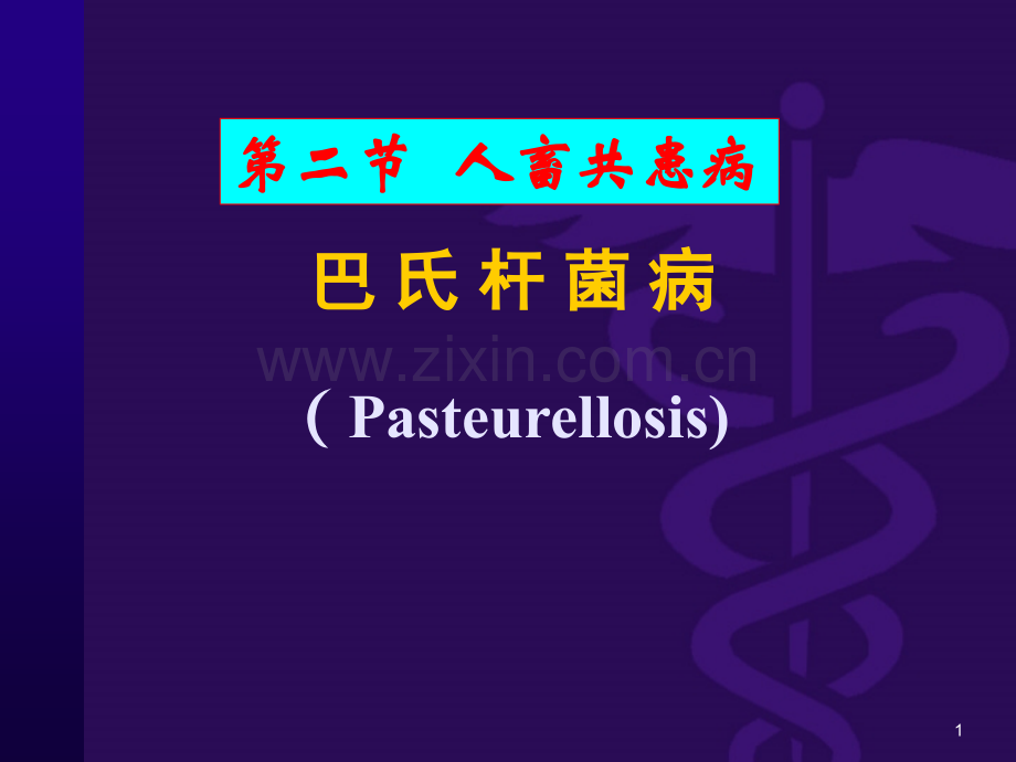 巴-氏-杆-菌-病ppt课件.ppt_第1页
