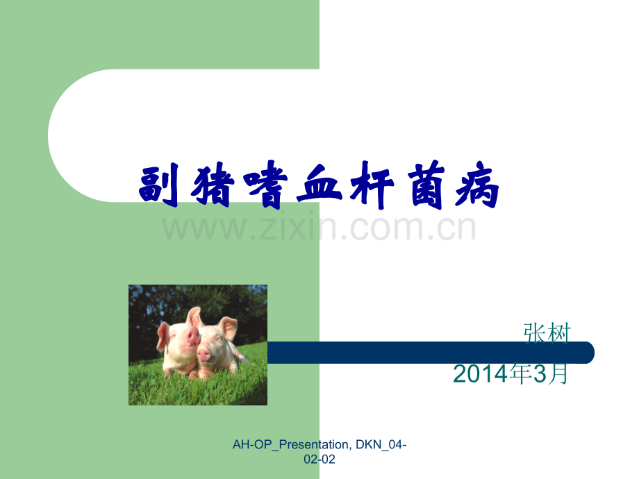 副猪嗜血杆菌ppt课件.ppt_第1页