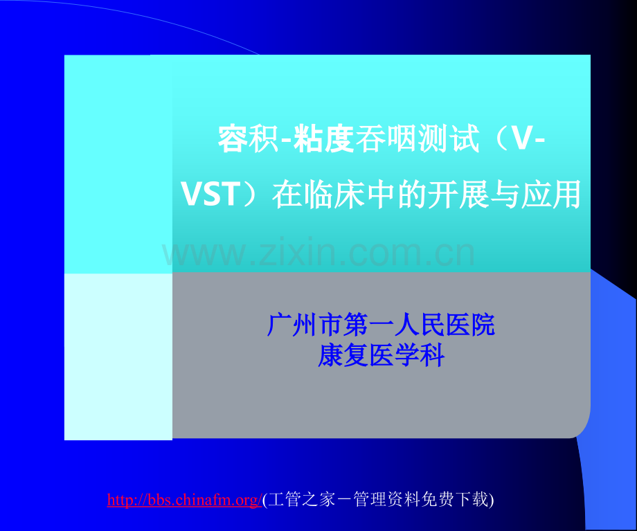 VVST评估的开展和应用.ppt_第1页