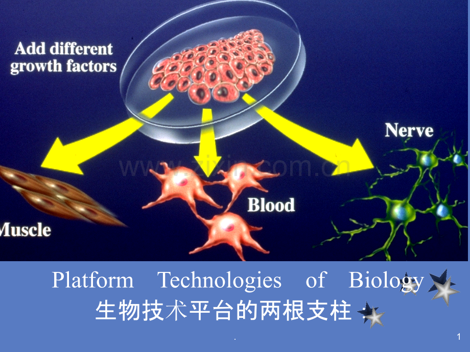 浙江大学细胞培养-绪论.ppt_第1页