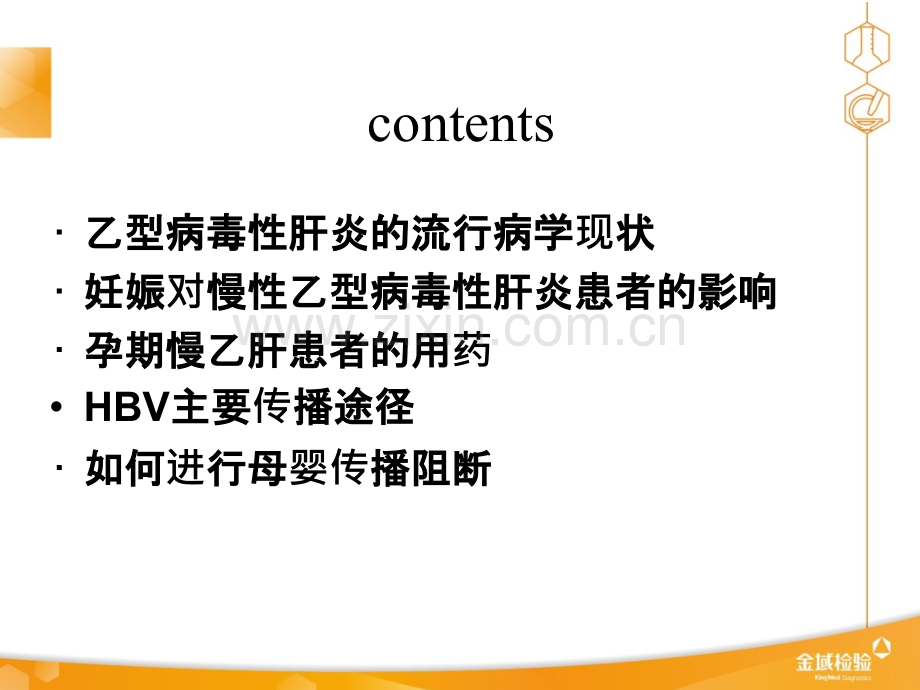 HBV与妊娠ppt课件.ppt_第2页
