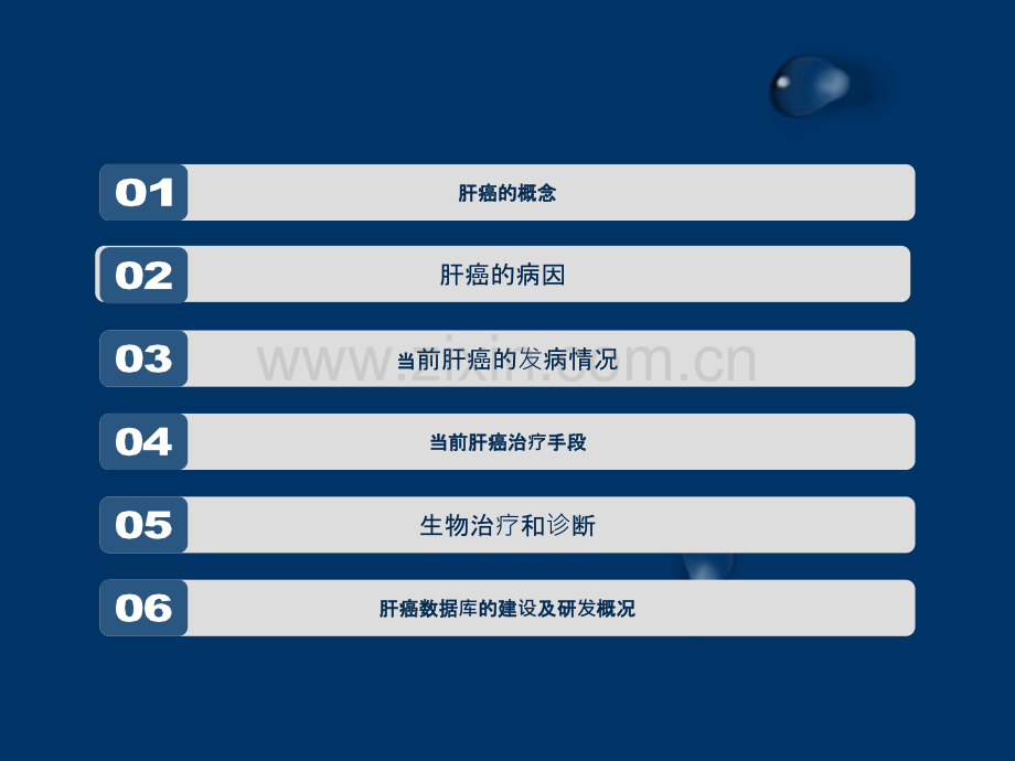 肝癌研究进展的概况ppt课件.pptx_第2页