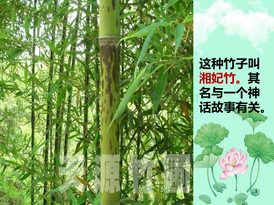 《湘夫人》优秀-获奖PPT课件.ppt_第1页