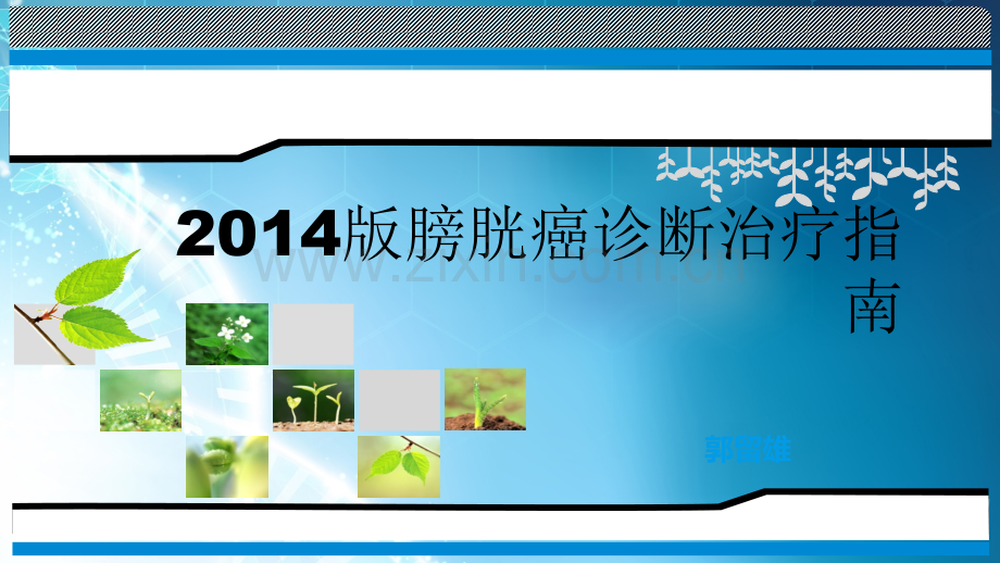 膀胱癌治疗指南解读ppt课件.pptx_第1页