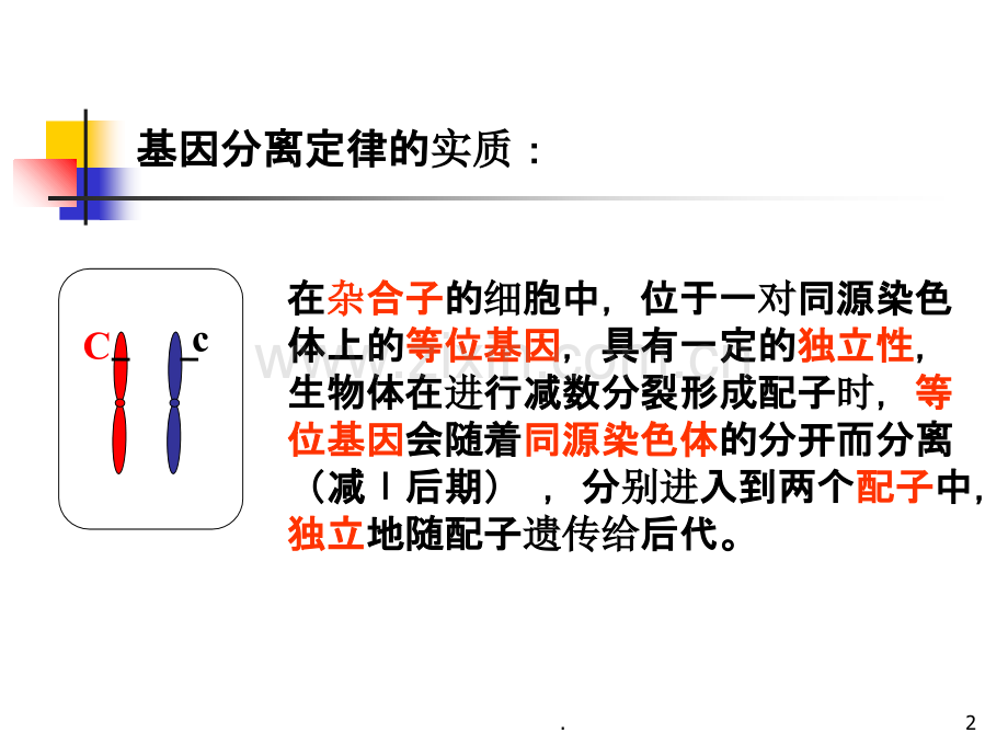 分离规律在实践中的应用PPT课件.ppt_第2页