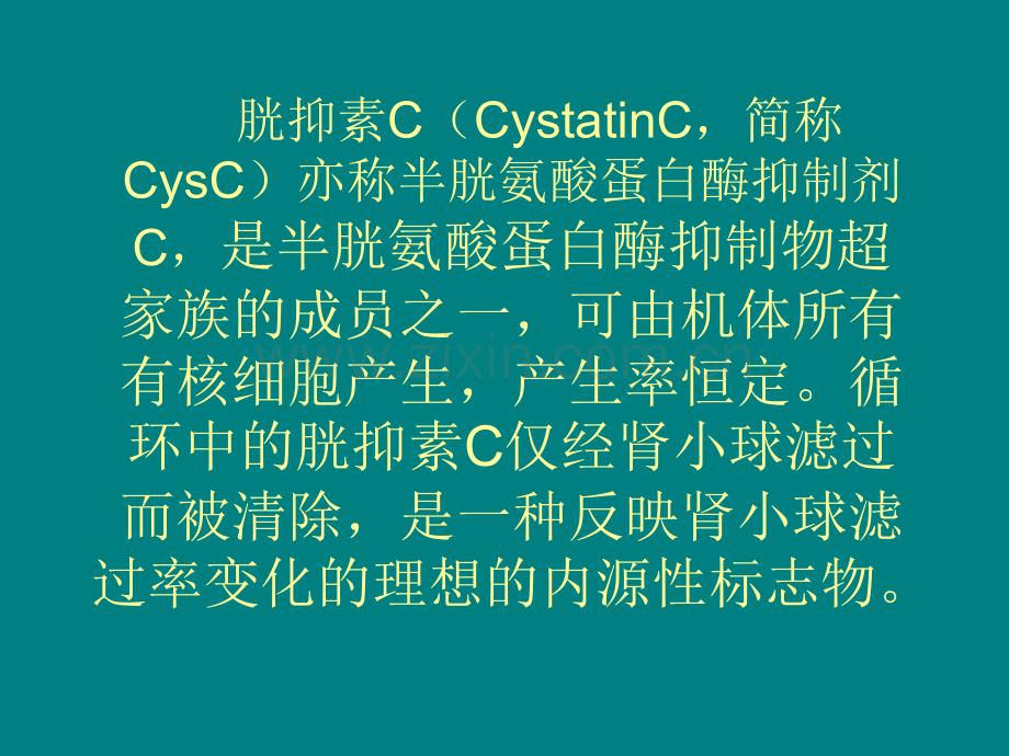 血清胱抑素C及其临床应用.ppt_第2页