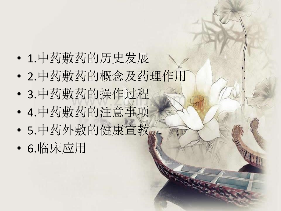 中药外敷治疗与护理ppt课件.pptx_第2页