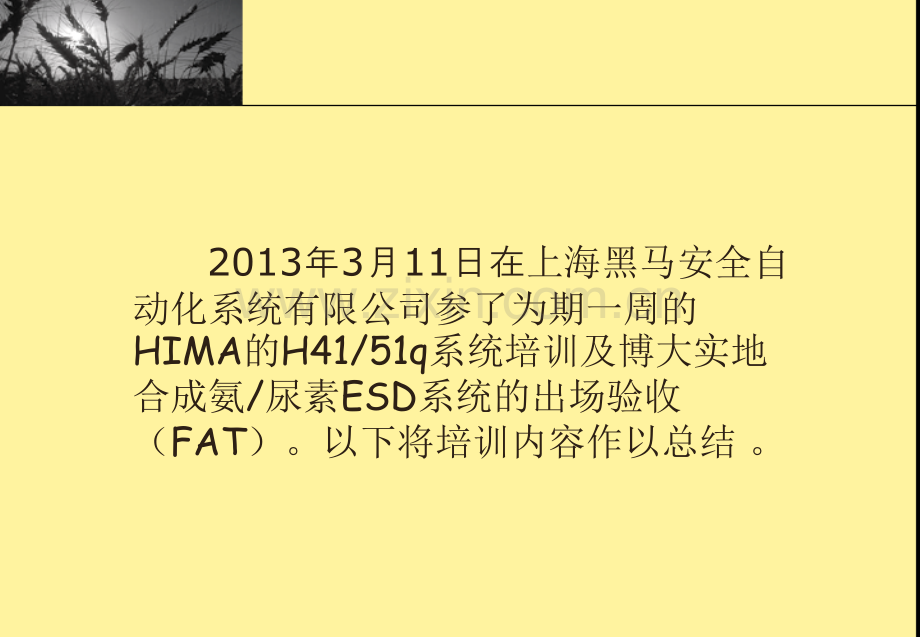 HIMA培训总结.ppt_第2页