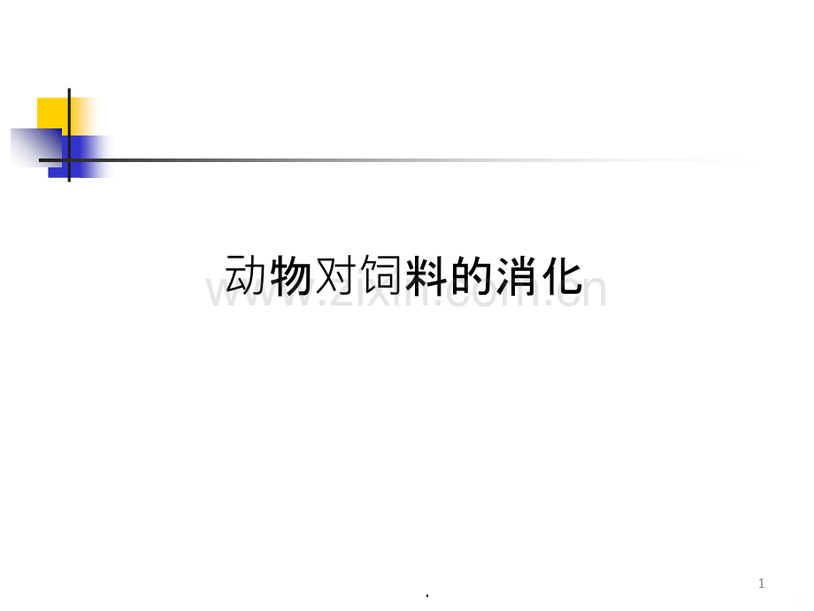 动物对饲料的消化ppt课件.ppt_第1页