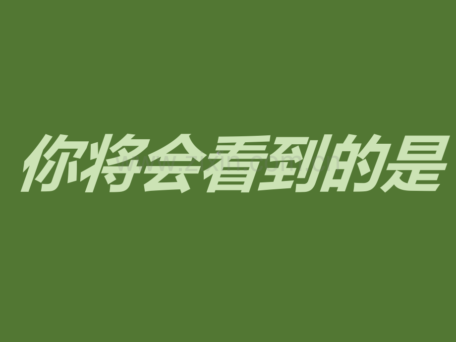 网红快闪ppt.ppt_第1页