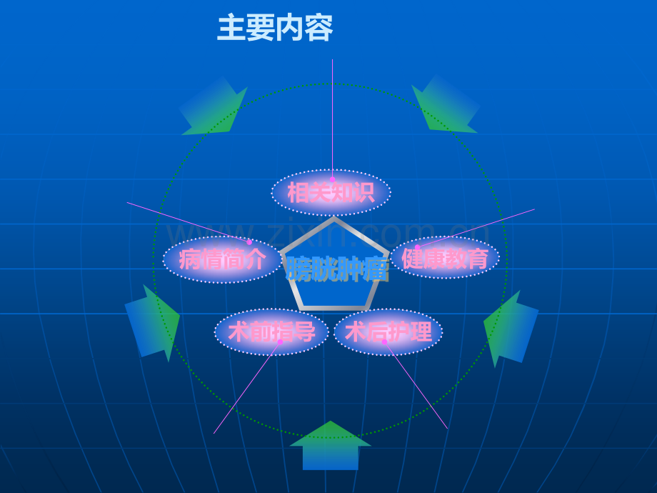一例膀胱肿瘤电切术的护理查房.ppt_第2页