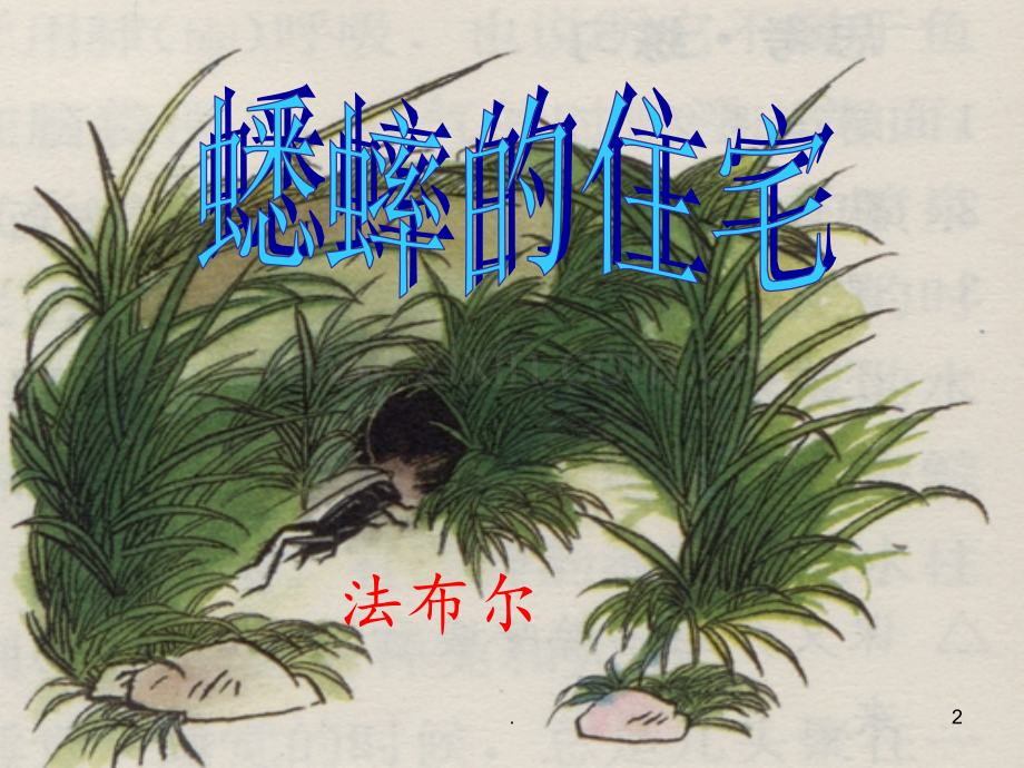 7蟋蟀的住宅PPT课件.ppt_第2页