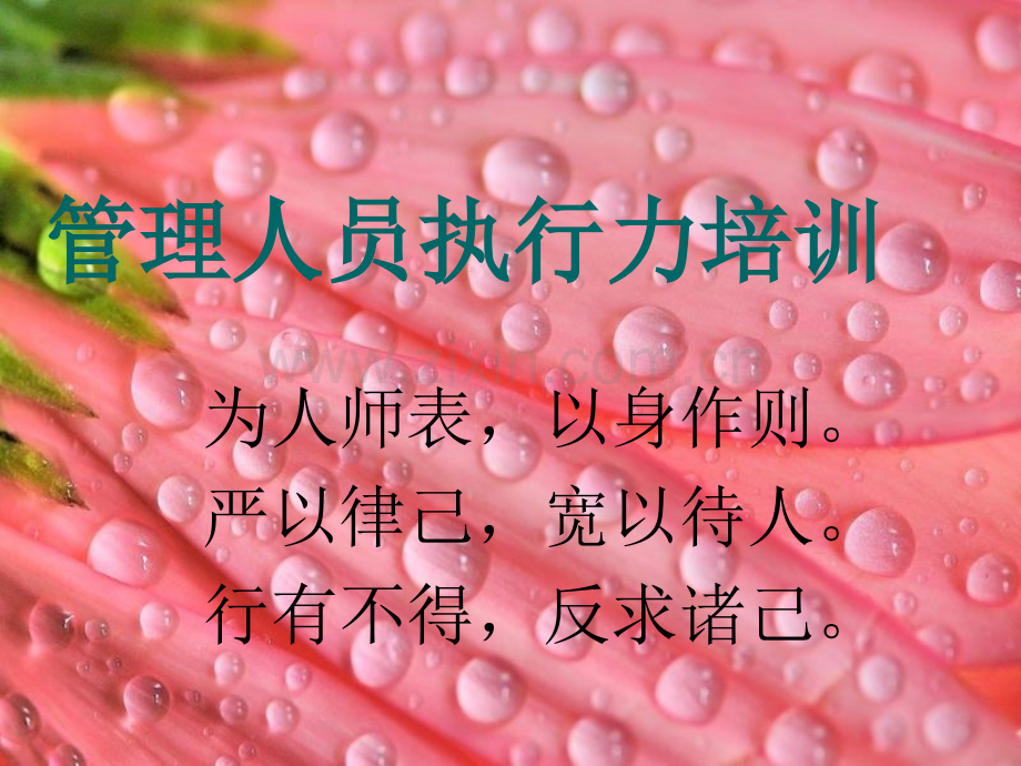 餐饮管理人员执行能力培训.ppt_第1页