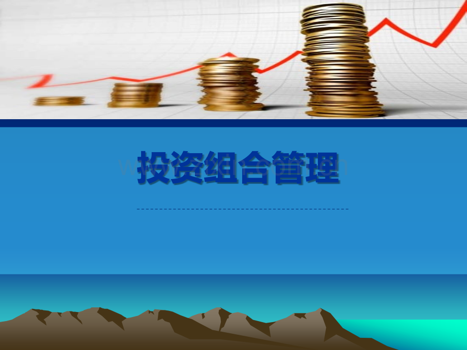 投资组合管理.ppt_第1页