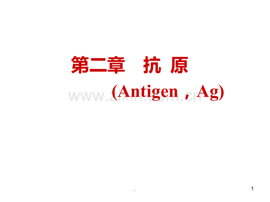 二抗原PPT课件.ppt_第1页