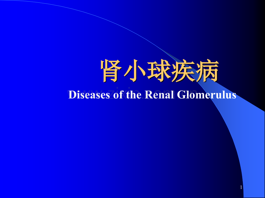 第二章肾小球疾病ppt课件.ppt_第1页