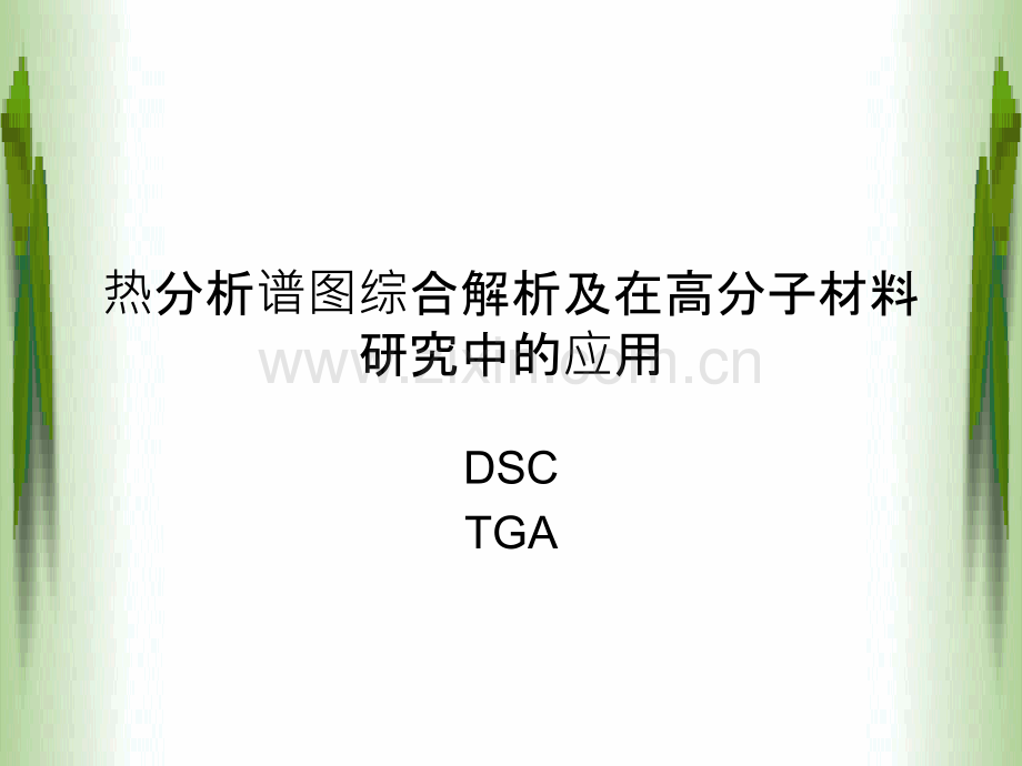 DSC-TGA谱图综合解析.ppt_第1页