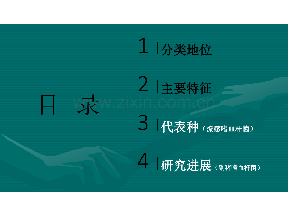 嗜血杆菌属ppt课件.pptx_第2页