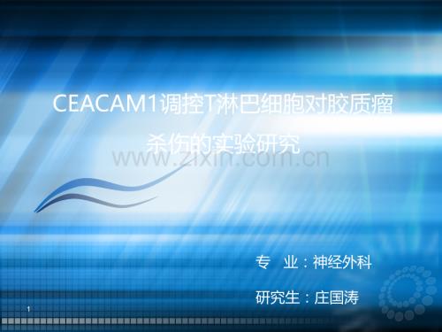 CEACAM1调控T淋巴细胞对胶质瘤ppt课件.ppt