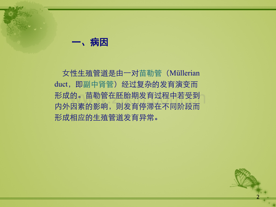 子宫发育异常.pptx_第2页