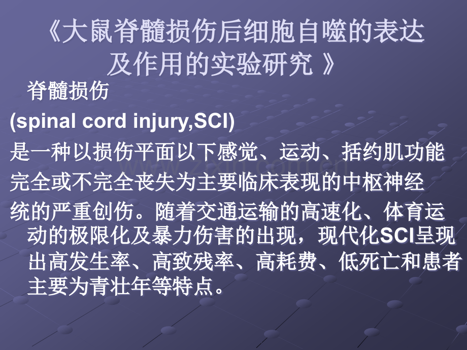 多发性骨髓瘤的护理ppt课件.ppt_第2页