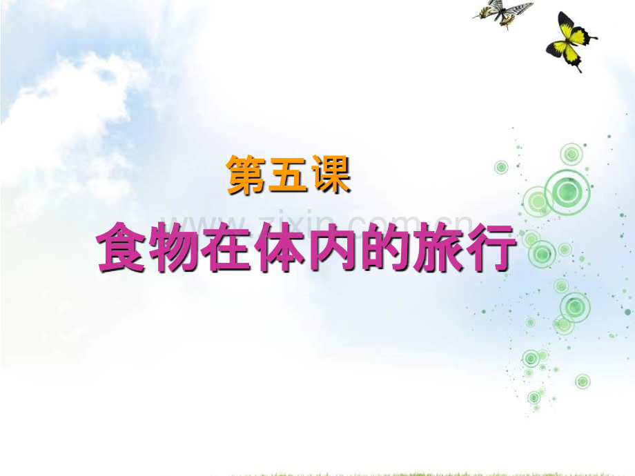 《食物在体内的旅行》PPT课件.ppt_第1页