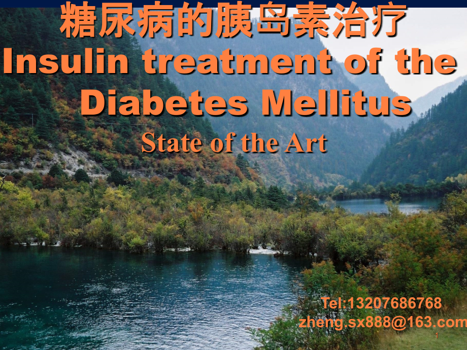 DM的胰岛素治疗ppt课件.ppt_第1页