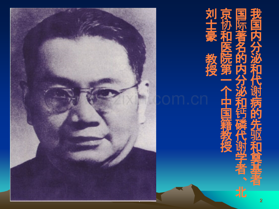DM的胰岛素治疗ppt课件.ppt_第2页