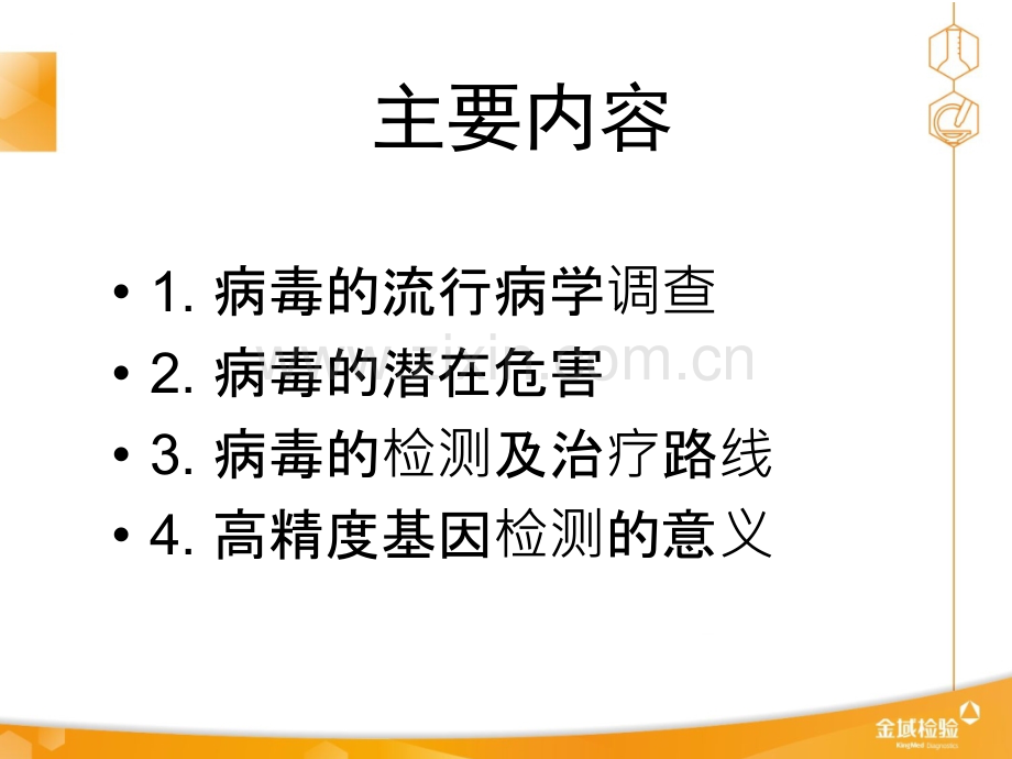 HBV及HCV高精度检测在临床中意义ppt课件.ppt_第2页