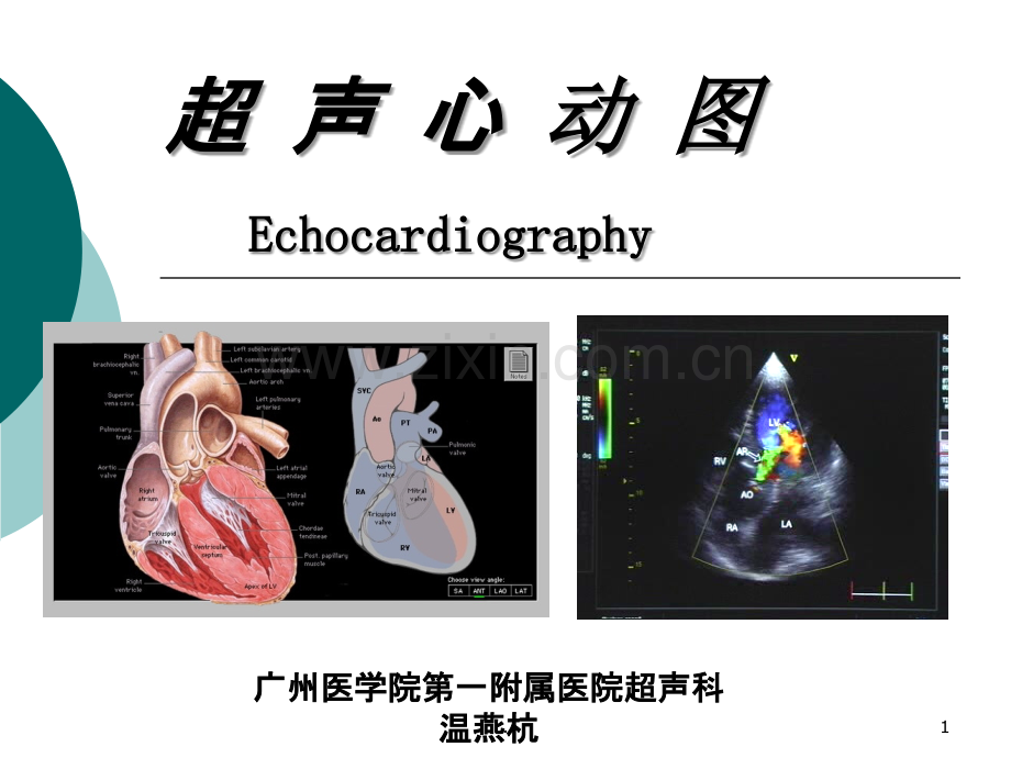 超-声-心-动-图PPT课件.ppt_第1页