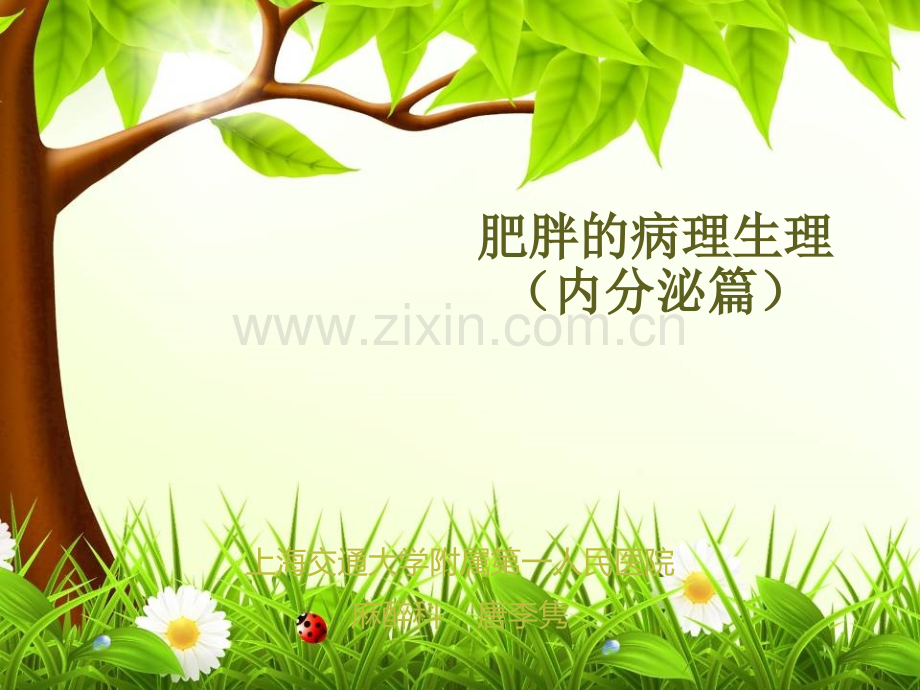 肥胖的病理生理内分泌篇.ppt_第1页