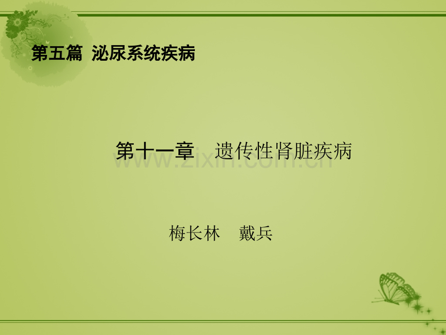遗传性肾脏疾病.pptx_第2页