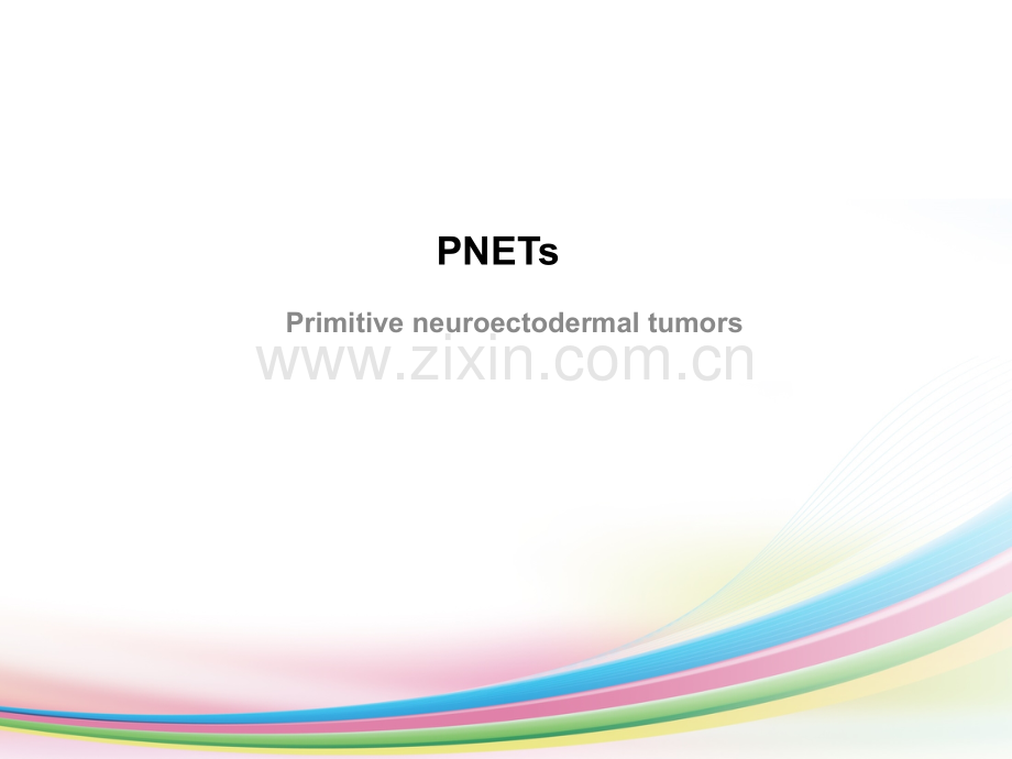 PNETs--课件.ppt_第1页