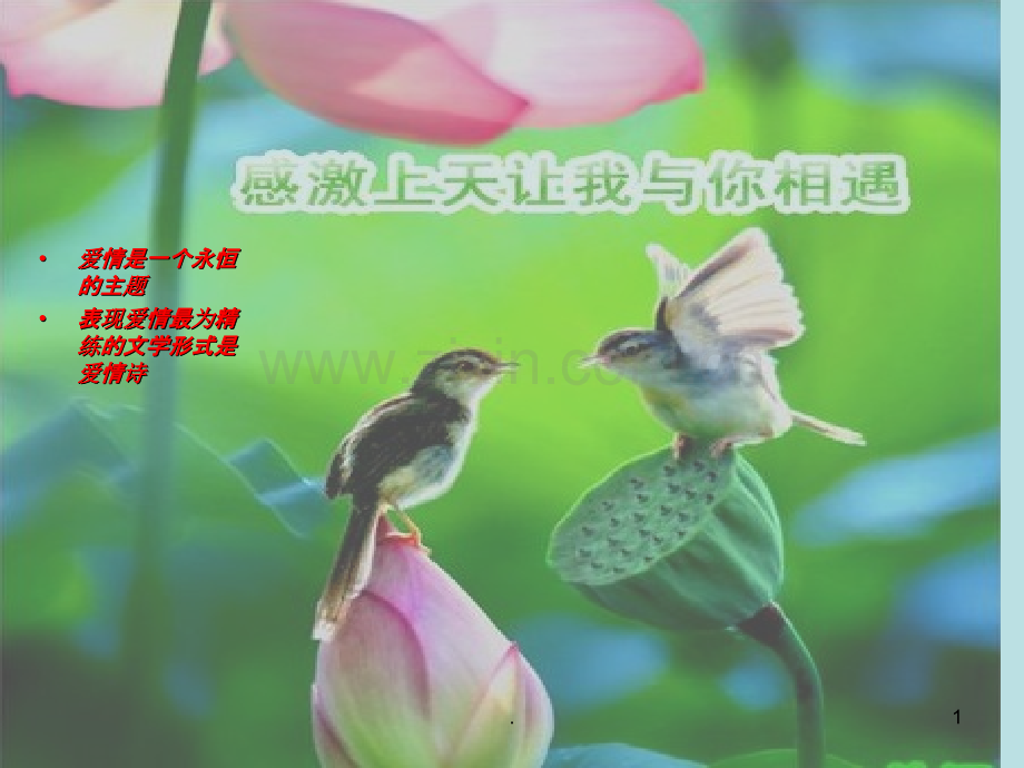 《我愿意是急流》PPT课件.ppt_第1页