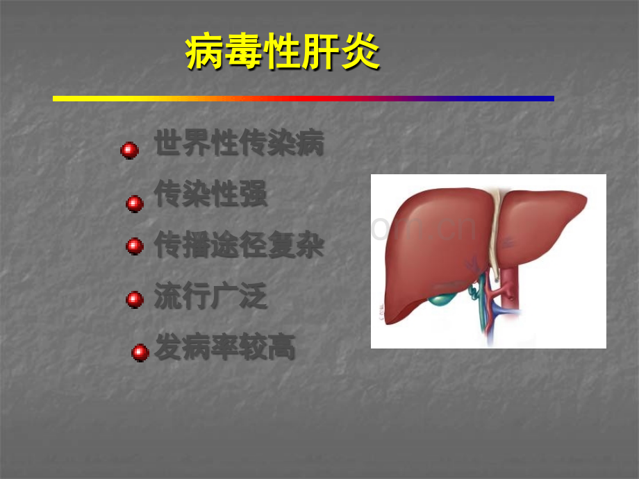 肝炎病毒ppt课件.ppt_第2页