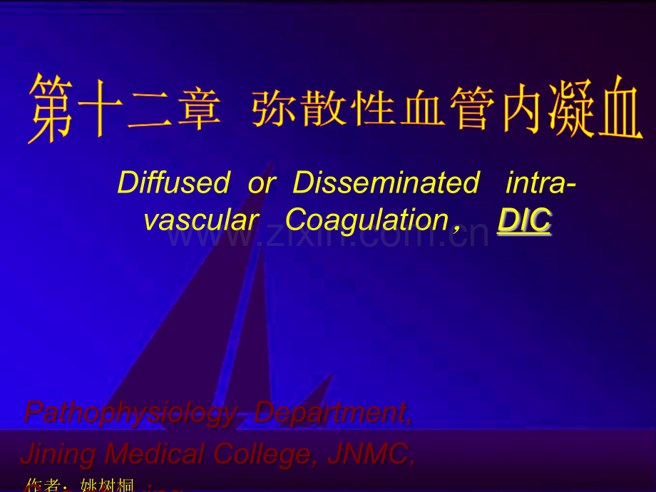 病理生理-DICppt课件.ppt_第1页