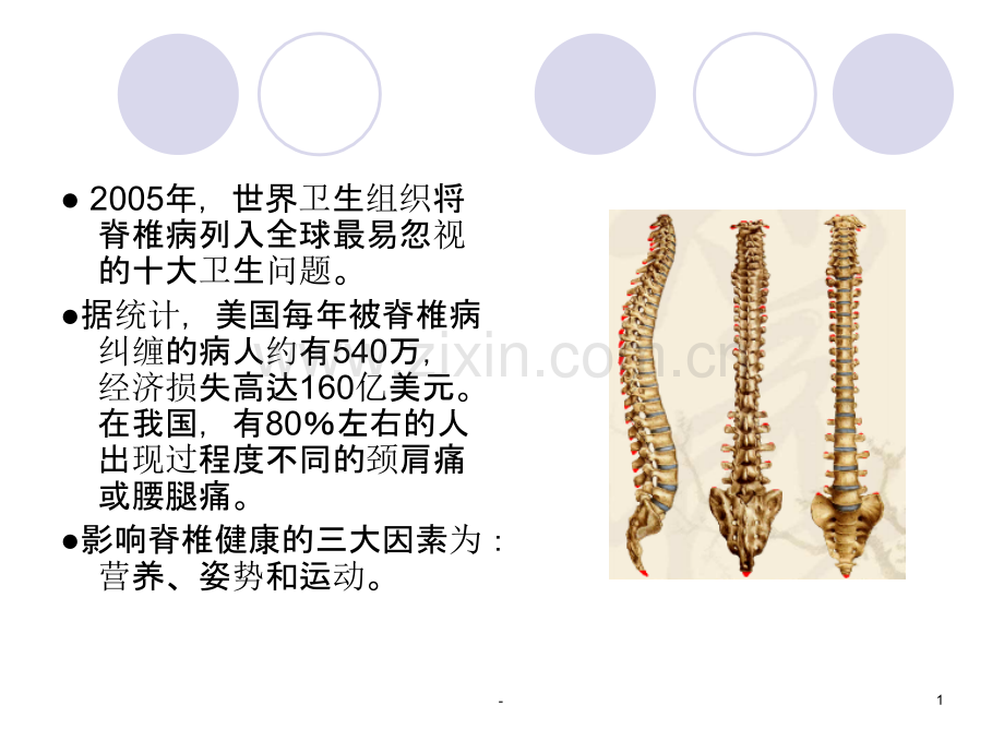 爱护脊椎以德养生PPT课件.ppt_第1页