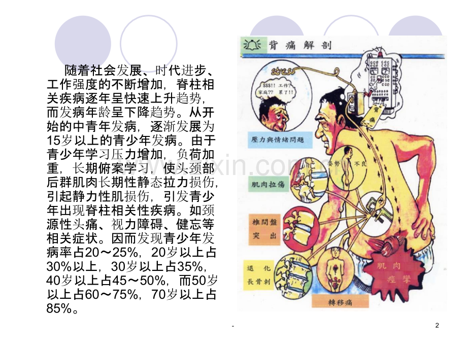 爱护脊椎以德养生PPT课件.ppt_第2页