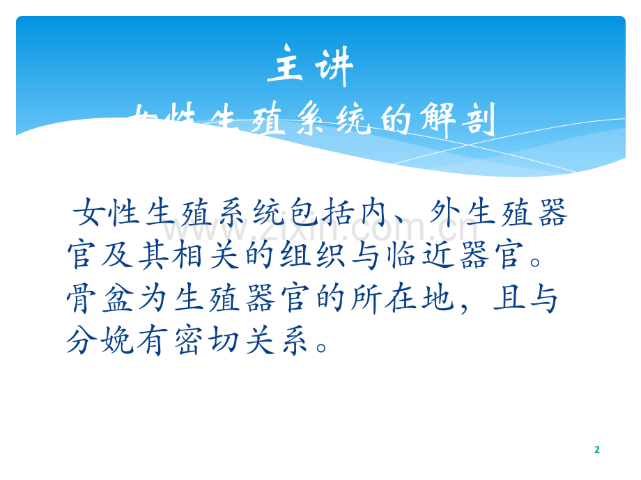 爱爱医资源女性生理生殖系统器官彩图照片写实男性勿看ppt课件.ppt_第2页
