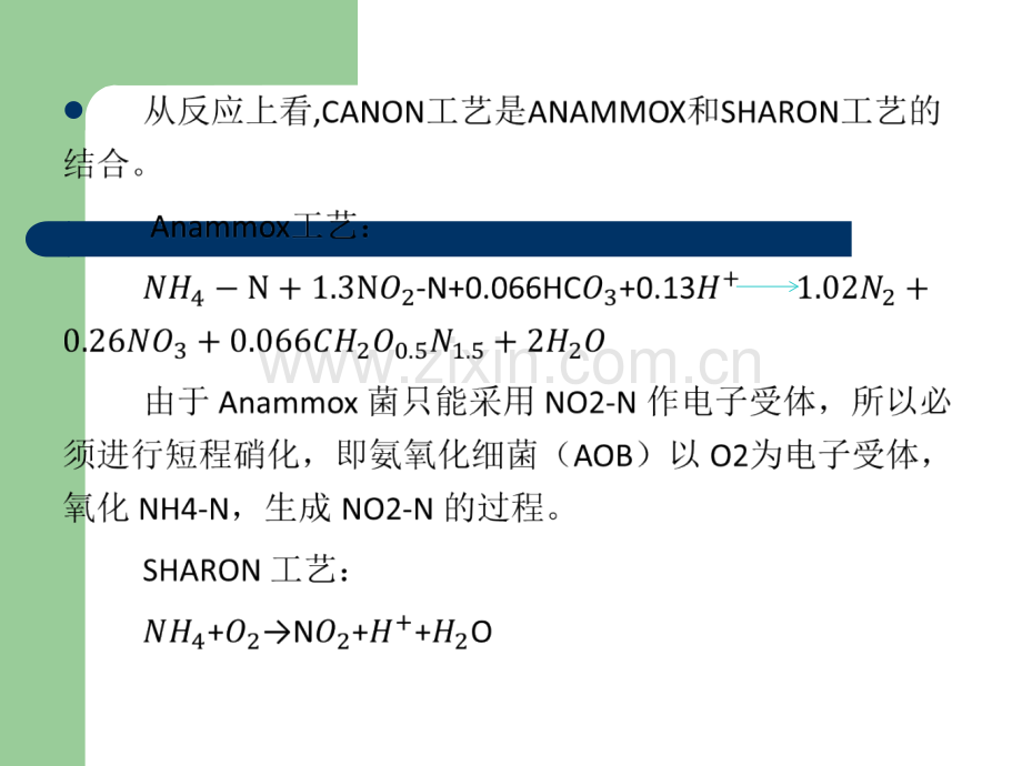CANON工艺.ppt_第2页