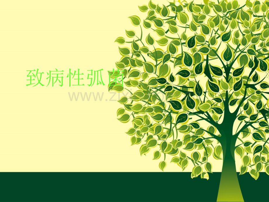 致病性弧菌.ppt_第1页