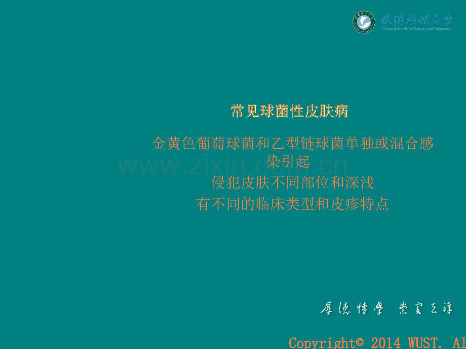 球菌性皮肤病ppt课件.pptx_第1页