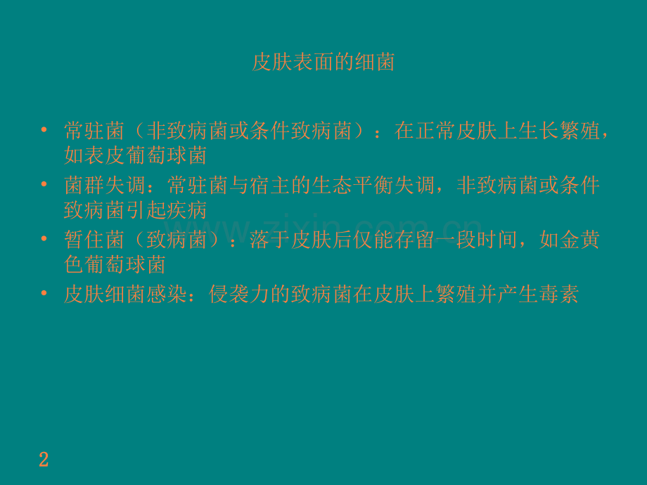 球菌性皮肤病ppt课件.pptx_第2页
